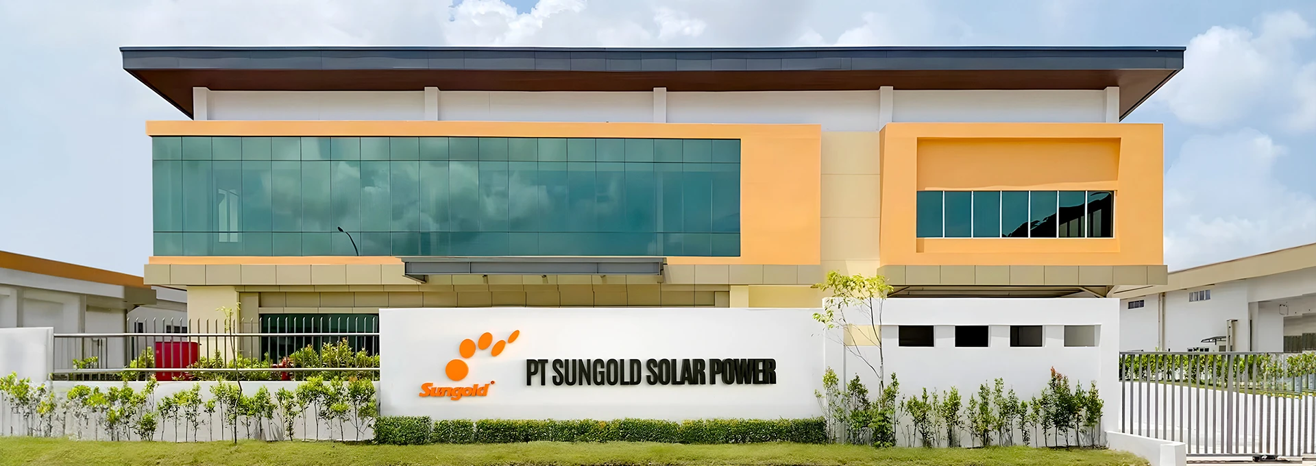 Indonesia sungold