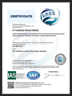 ISO 9001
